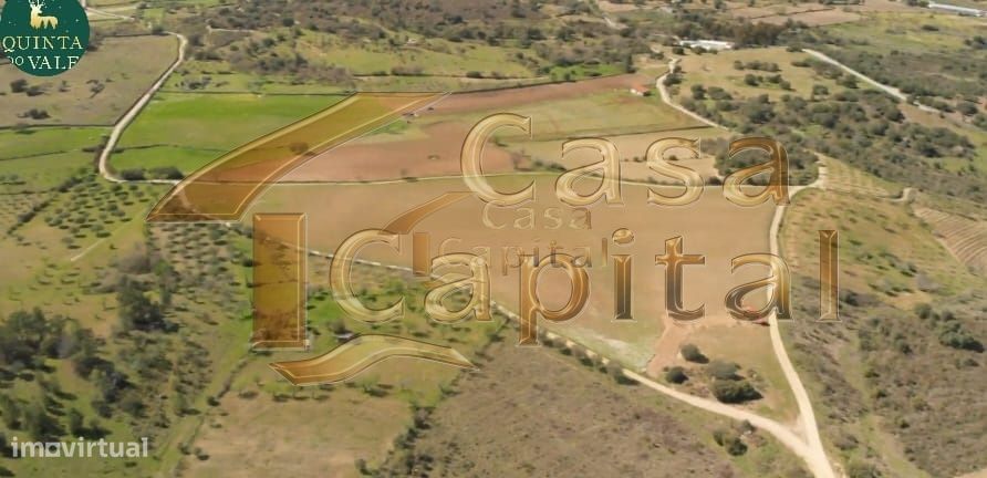 Quinta localizada na região nobre do Rio Douro Superior em Foz Côa