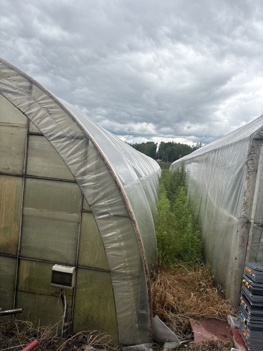 Tunel foliowy ogrodniczy