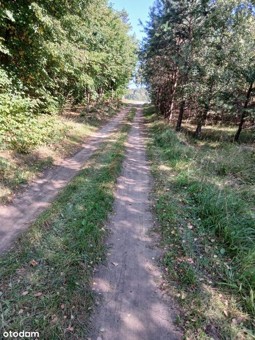 Kaszuby sprzedam działki budowlane – Struga, gmina Stara Kiszewa