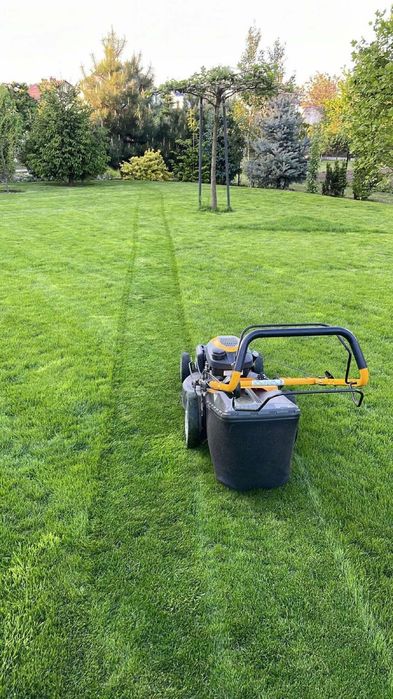 Wertykulacja+areacja rurkowa+piaskowanie trawnika=kompleksowa usługa