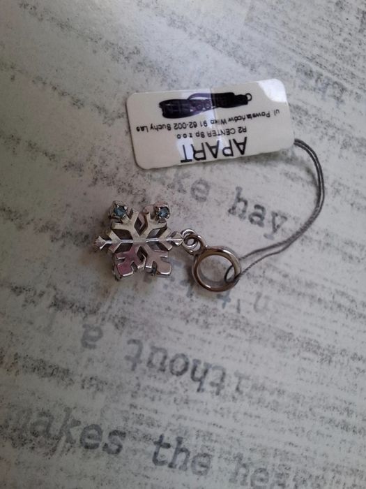 Srebrna przywieszka lub charms Apart