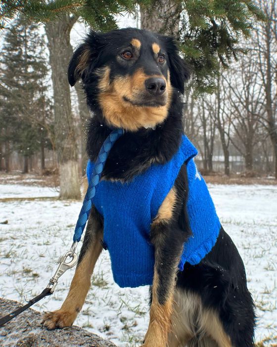 Дівчинка Нана шукає родину