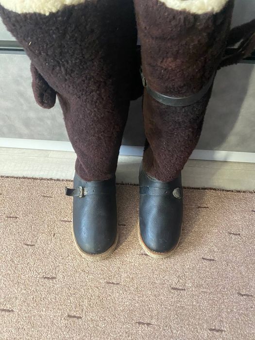 Породам унти з півночі