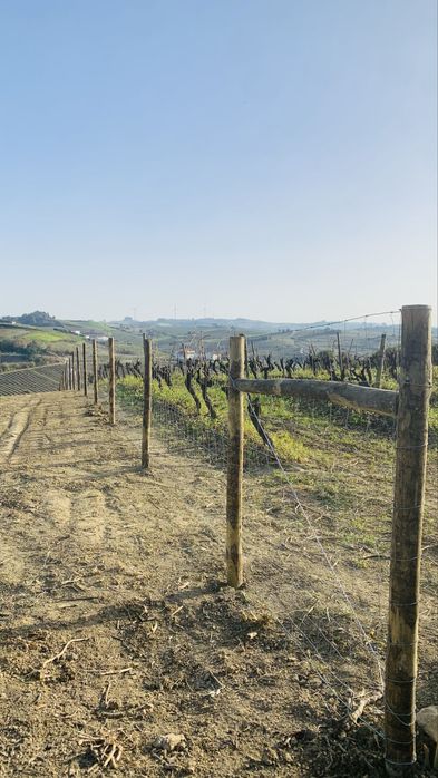 Vedacoes Vedacao Cercas