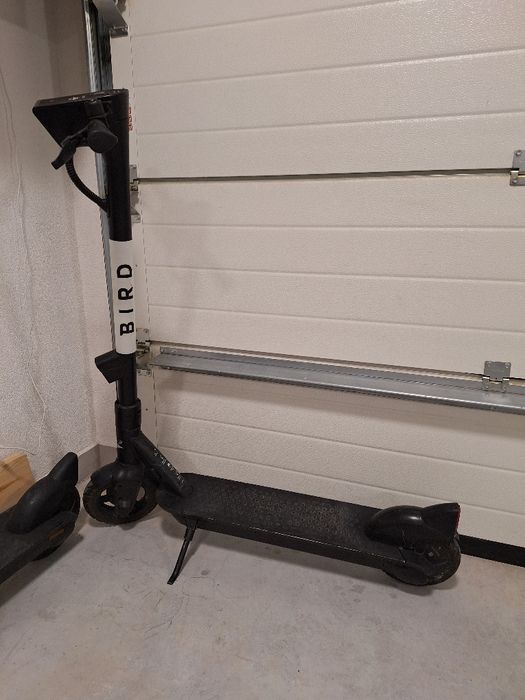 Hulajnoga Elektryczna Bird