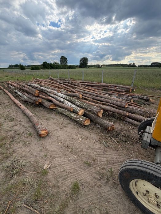 Sosna/Brzoza opał