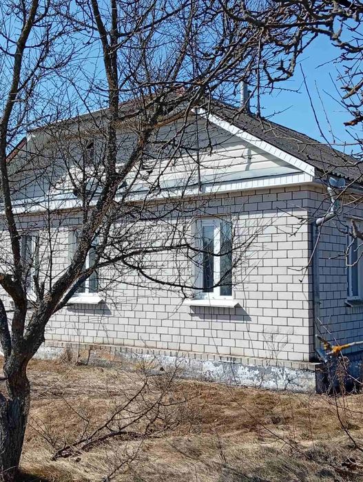 Продається будинок в селі Рудня