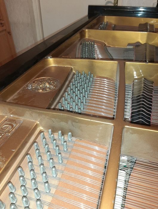 STEINWAY ( Grotrian Steinweg ) 200 cm