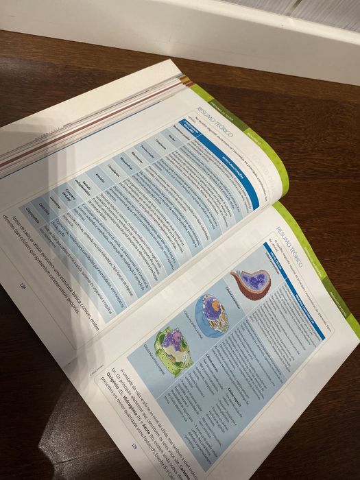 Livro de biologia e geologia 10º ano