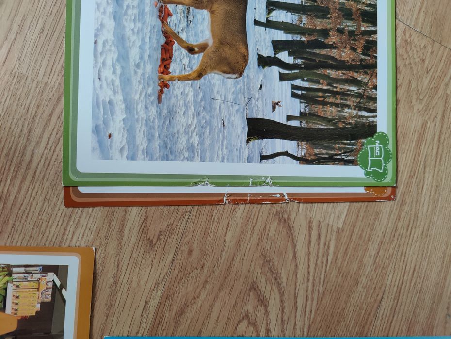 MAC Edukacja- duże tablice demonstracyjne dla nauczycieli 3 i 4 Latków