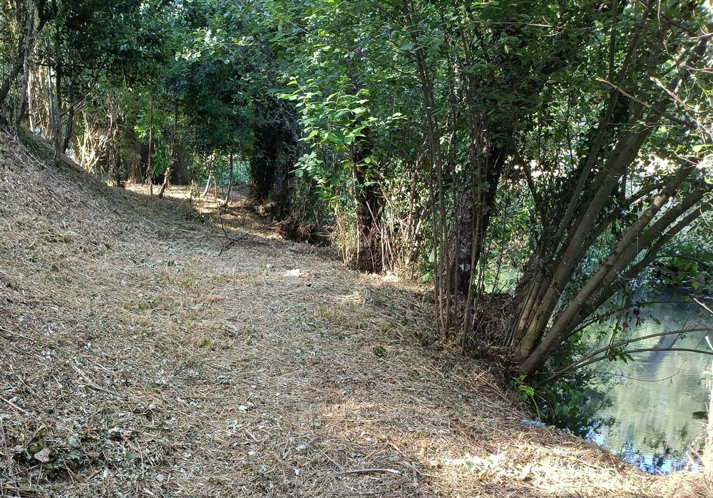 Terreno com "PIP  - Qualificado" aprovado - Arouca Geopark (Reservado)