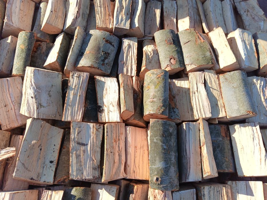 Buk. Drewno kominkowe. Opał. Możliwość transportu.