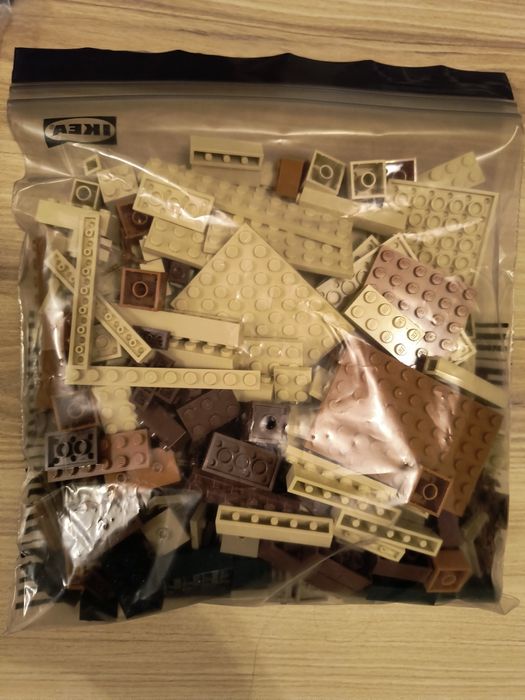 LEGO 21160 Minecraft Najazd Złosadników