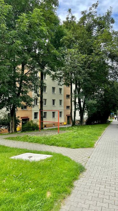 Zdjęcie 8