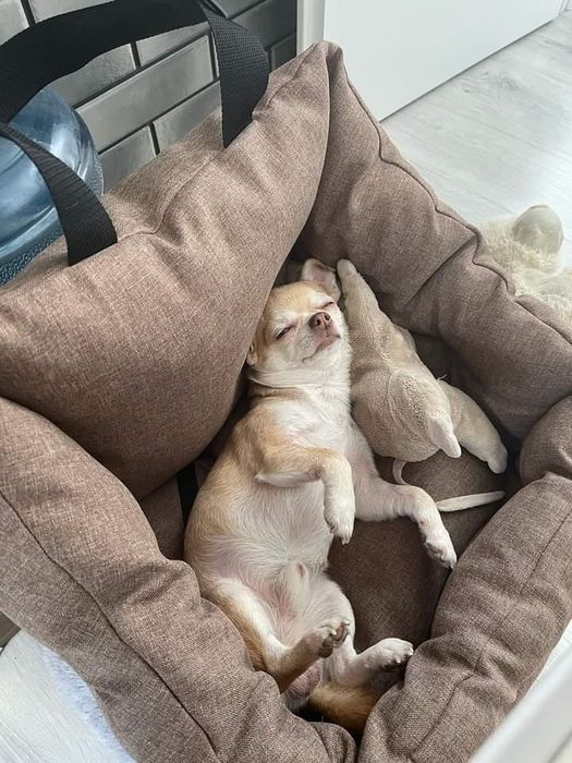 Автогамак/ автокрісло. Колір "Графіт"