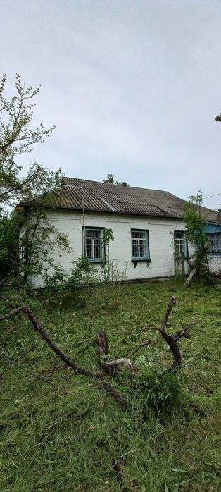 Продаж будинку с. П'ятигори, Київська обл.