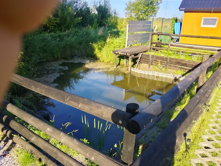 Miejsce na przystani z domkiem