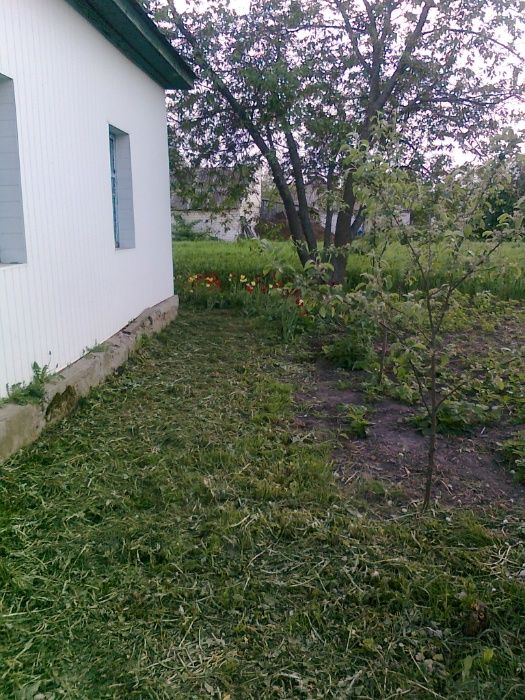 Продам будинок в Берлозах