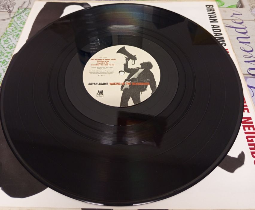 Discos de vinil Bryan Adams