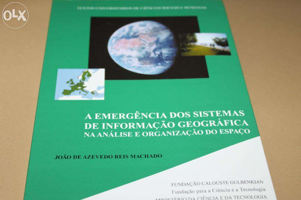 A Emergência dos Sistemas de Informação