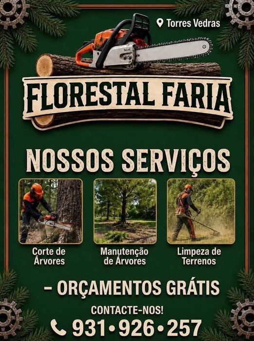 Limpeza de Terrenos || Abate de Árvores || Desmatação