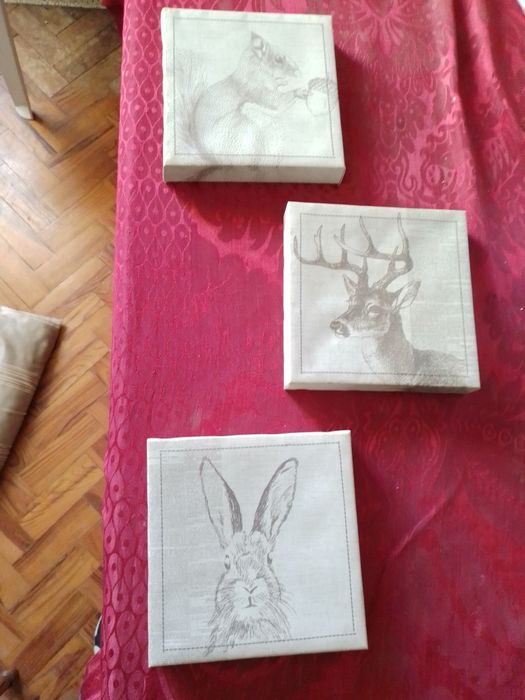 Gosta de animais?3Telas animais 1-3Eou3-8E-T.Refeiçao P/bébé3E Desde3E