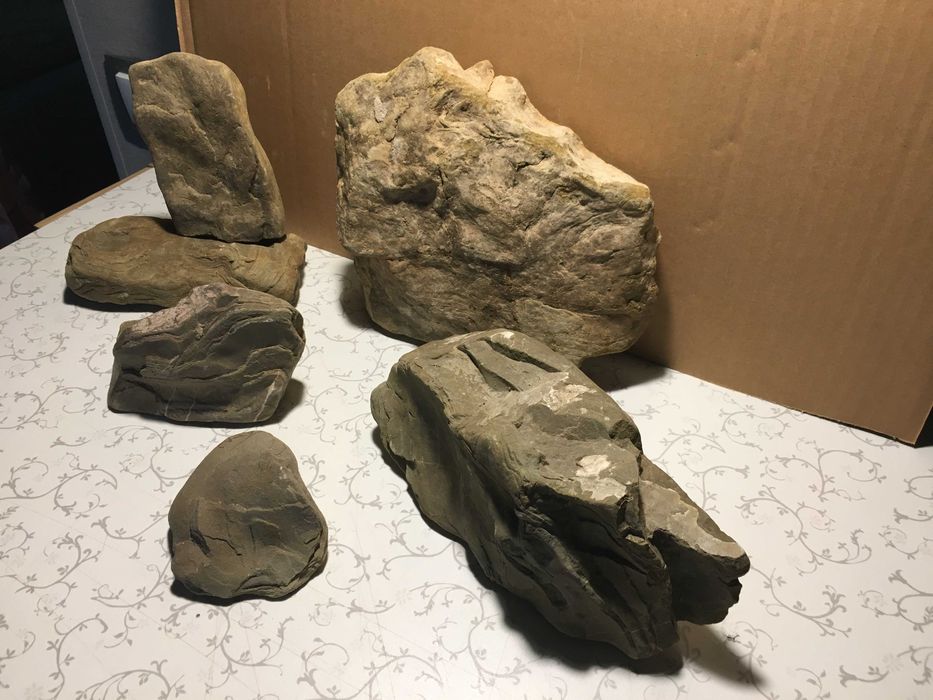 Зоотовари для дизайну тераріум