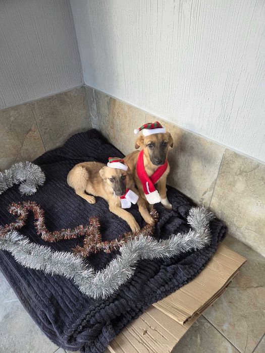 Малыши верят в чудо