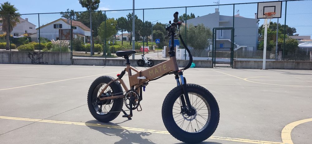 Bicicleta eléctrica MATE X - 250W