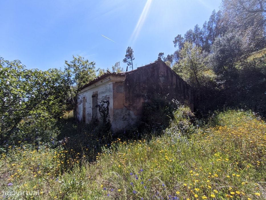 Moradia Devoluta  Venda em Aldeia do Mato e Souto,Abrantes — Aldeia Do Mato E Souto, Santarém