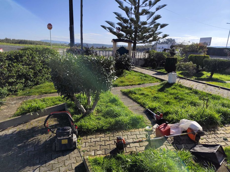 Limpeza e Manutenção de Jardins