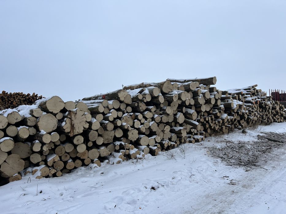 Drewno opałowe w wałkach