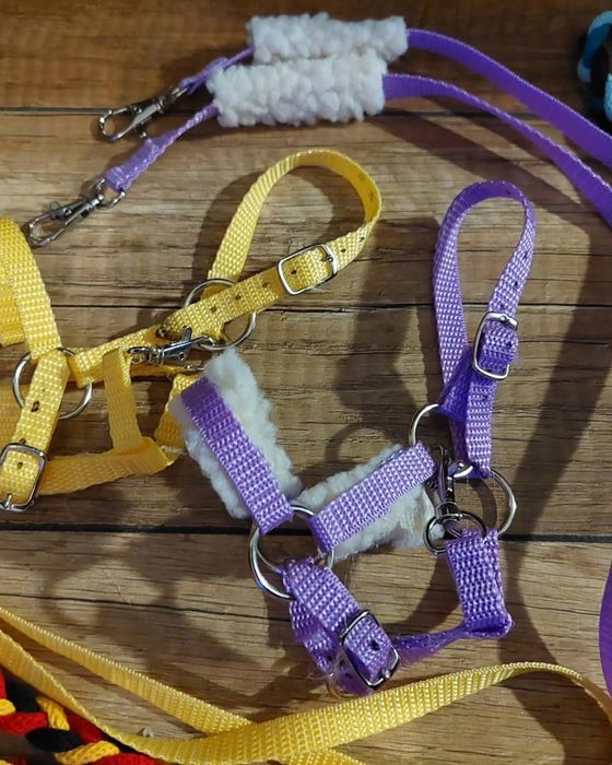 Myster box hobby horse