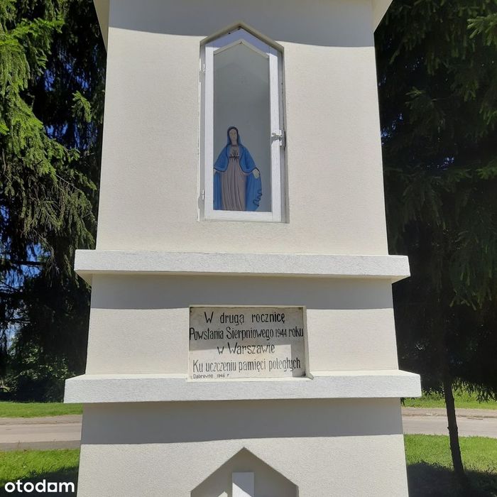 Dom do kapitalnego remontu. Obok jezioro, park, przystanek, sklepy
