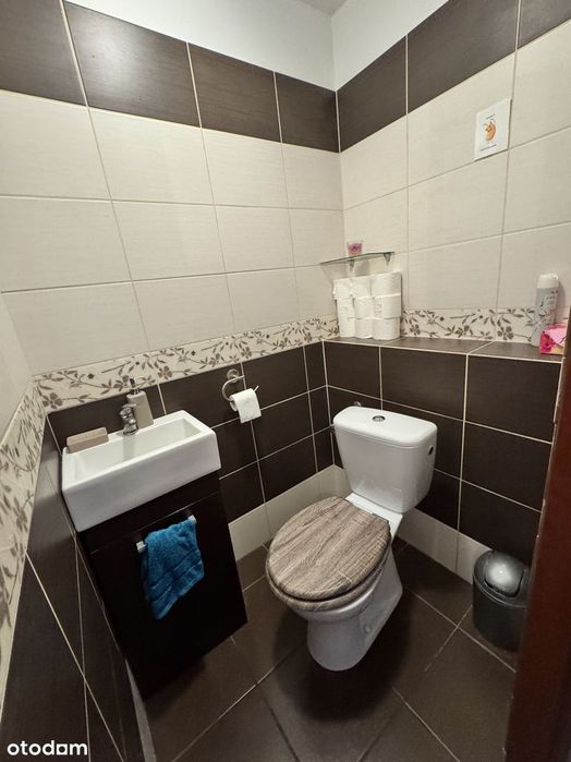 Werstok w Prawdzowej Puszczy Bialowieskiej. Podlasie
