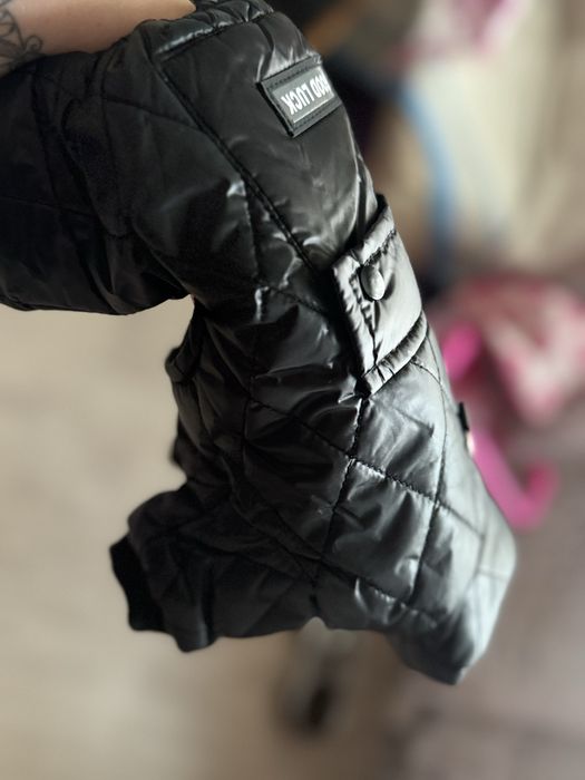 Продам зимний костюм на собачку