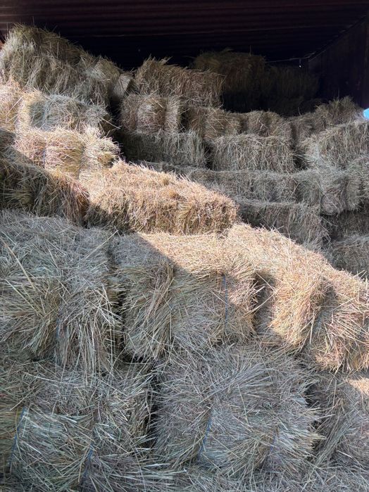 Продам недорого лугове сіно,солома