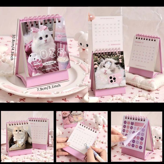 Calendario 2025 de gatos engraçados e fofinhos