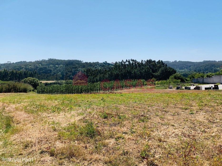 Terreno situado em Salir de Matos.