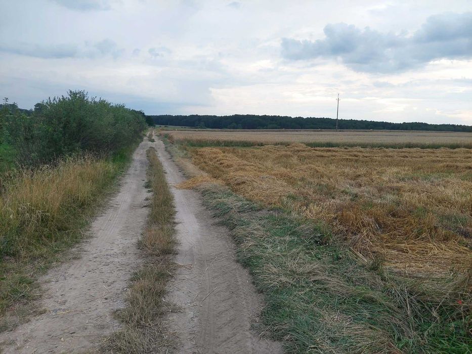 Działka rolna 6710 m², klasa ziemi IIIa - Widok 2