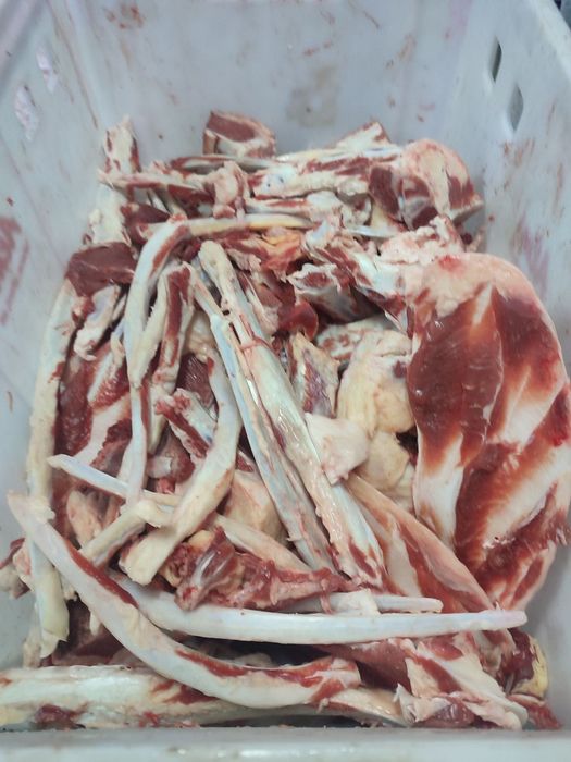 Костный остаток, кости