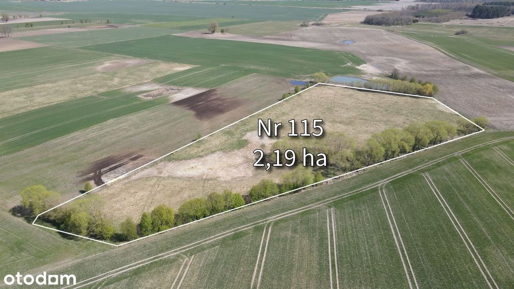 Działka rolna 2,19 ha pod Bartoszycami - Plęsy