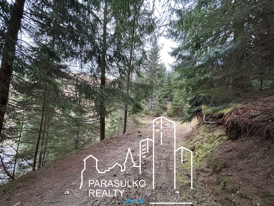 Продам земельну мальовничу ділянку в Карпатах