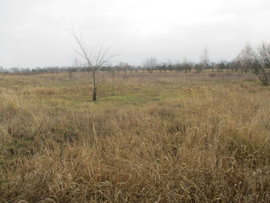 Продаж земельної ділянки 21 сот. Київська обл., с.Жукин      8500$