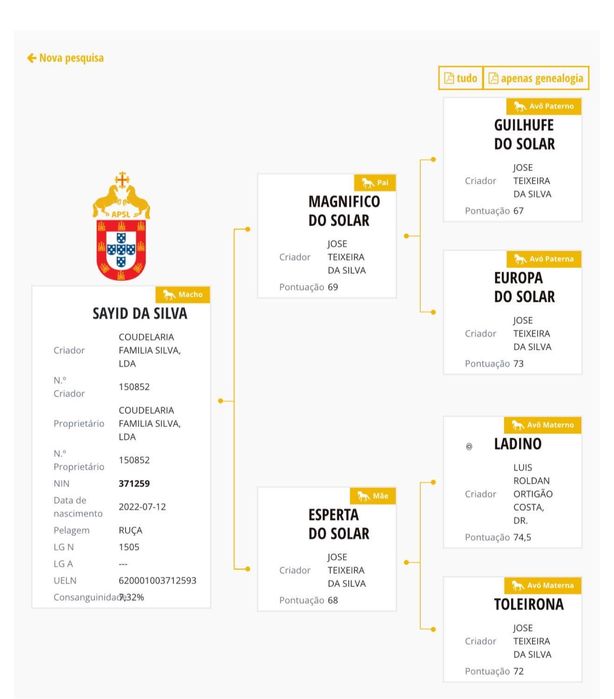 Poldro cavalo puro sangue lustinao