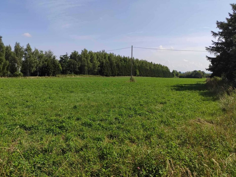 Piękna działka nad jeziorem Długim. Plaża!