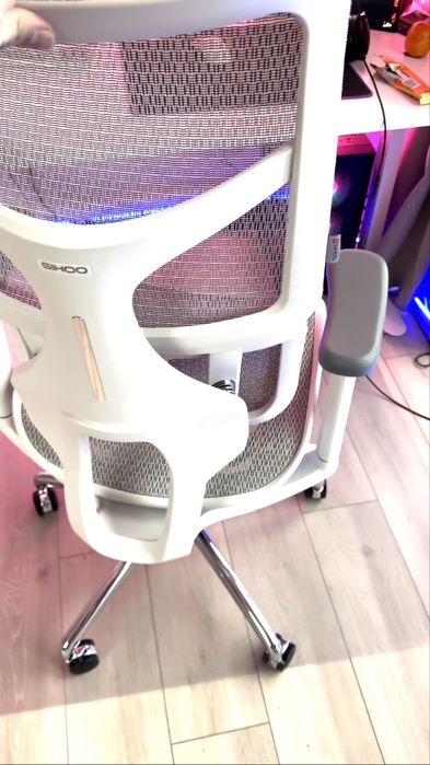Крісло офісне ергономічне SIHOO DORO S100 Mesh White (S100-M302)