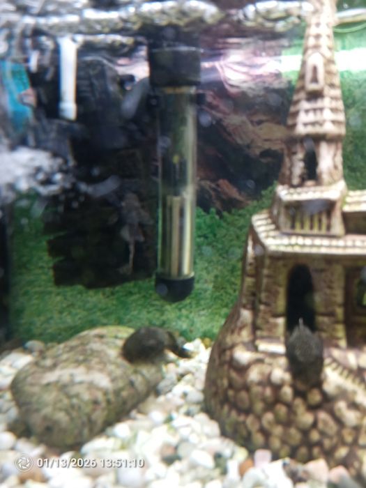 Akwarium Aquarele+ zestaw do czyszczenia