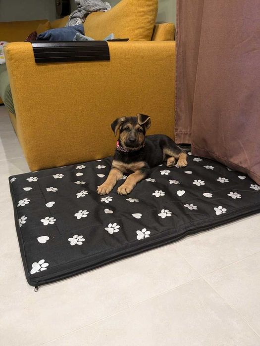 LEGOWISKO dla psa XXL duże posłanie 100x70cm