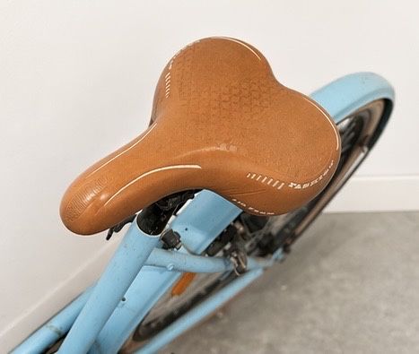 Bicicleta holandesa